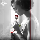 Серебряная Роза Кликните для увеличения